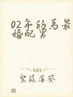 02年的马最佳婚配男