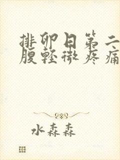 排卵日第二天小腹轻微疼痛封面