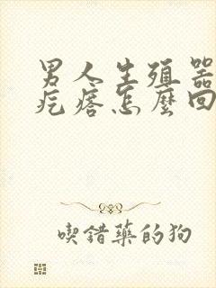 男人生殖器上有疙瘩怎么回事封面