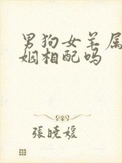 男狗女羊属相婚姻相配吗