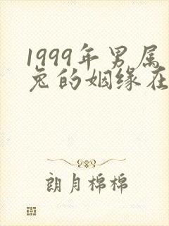 1999年男属兔的姻缘在哪年封面
