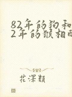 82年的狗和92年的猴相配婚姻如何