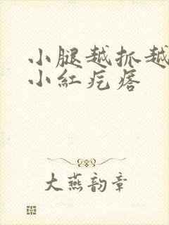 小腿越抓越痒有小红疙瘩