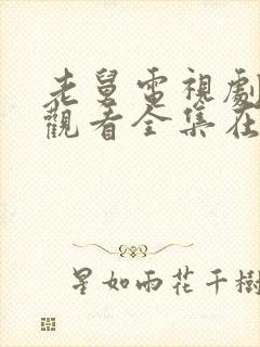 老舅电视剧免费观看全集在线播放封面