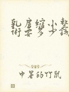 乳房缩小整形手术要多少钱封面