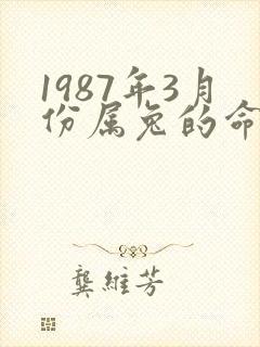 1987年3月份属兔的命运如何