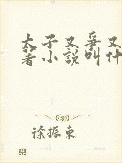 太子又争又抢原著小说叫什么名字