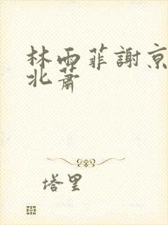林雨菲谢京墨顾北萧