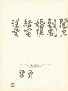 从结婚到开始恋爱电视剧免费