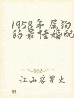 1958年属狗的最佳婚配封面