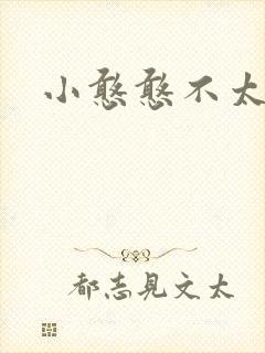 小憨憨不太二封面
