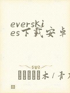 everskies下载安卓封面