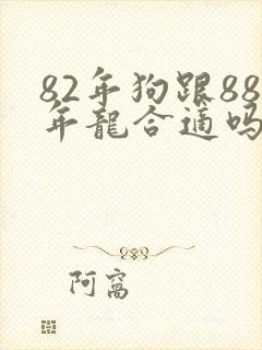 82年狗跟88年龙合适吗