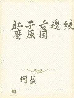 肚子右边绞痛什么原因封面