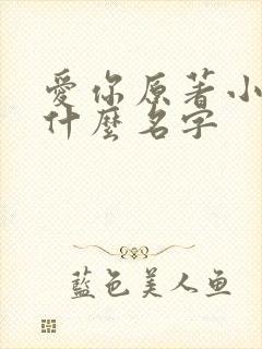 爱你原著小说叫什么名字