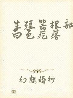 生殖器根部长了白色疙瘩