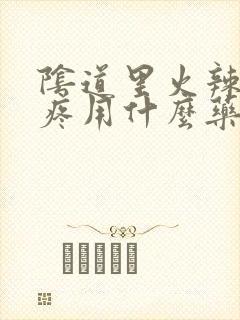 阴道里火辣辣的疼用什么药