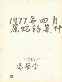 1977年四月属蛇的是什么命