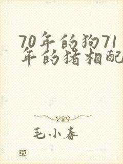 70年的狗71年的猪相配吗