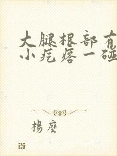 大腿根部有一个小疙瘩一碰就痛