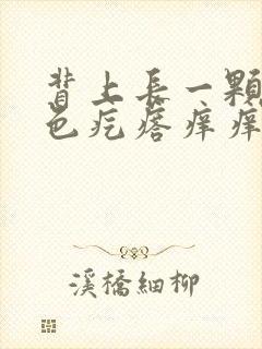 背上长一颗颗红色疙瘩痒痒的