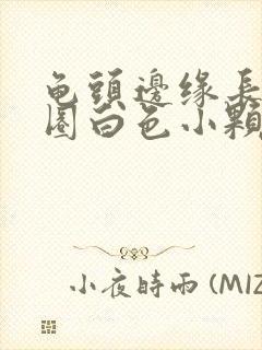 龟头边缘长了一圈白色小颗粒封面