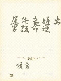 属牛未时出生的男孩命运封面