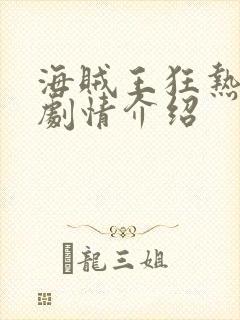 海贼王狂热行动剧情介绍