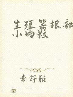 生殖器根部长了小肉粒