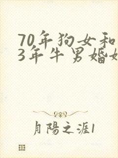 70年狗女和73年牛男婚姻怎么样