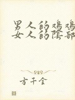 男人的鸡鸡插进女人的阴部封面