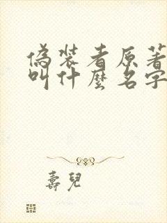 伪装者原著小说叫什么名字封面