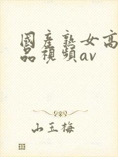 国产熟女高潮精品视频av