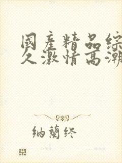 国产精品综合久久激情高潮