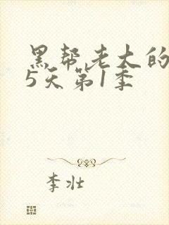 黑帮老大的365天第1季