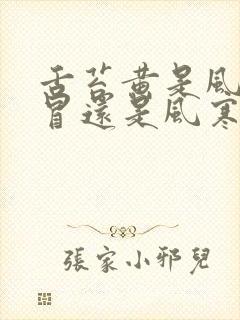 舌苔黄是风热感冒还是风寒感冒