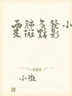 两肺多发小结节及斑点影封面