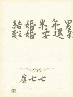 结婚半年男方提离婚 要退彩礼吗封面