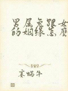 男属兔跟女属龙的姻缘怎么样