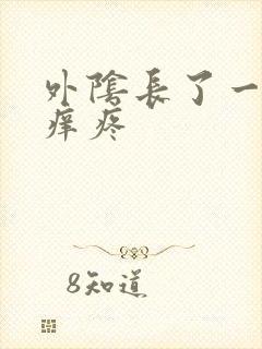 外阴长了一个包痒疼