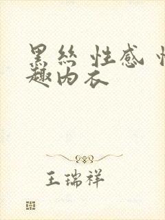 黑丝 性感 情趣内衣封面