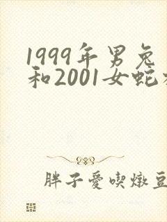 1999年男兔和2001女蛇相配婚姻如何