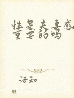 性是夫妻感情最重要的吗