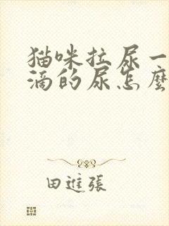 猫咪拉尿一滴一滴的尿怎么回事