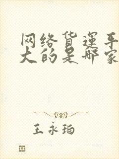 网络货运平台最大的是哪家封面