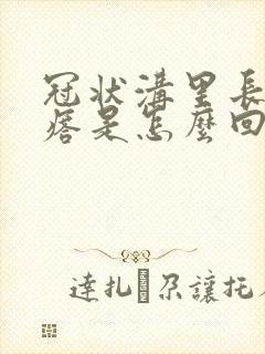 冠状沟里长小疙瘩是怎么回事封面