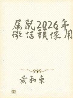 属鼠2026年微信头像用什么好