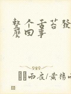 整个舌苔发白怎么回事