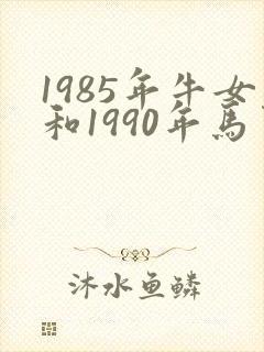 1985年牛女和1990年马男人婚姻怎么样