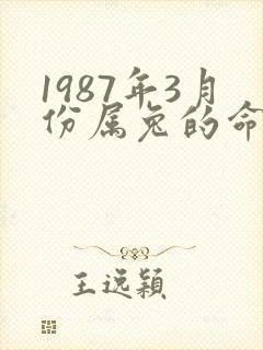 1987年3月份属兔的命运如何封面